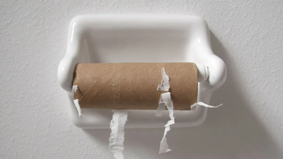 La carta igienica perde terreno in Repubblica Ceca: è una nuova era della pulizia?